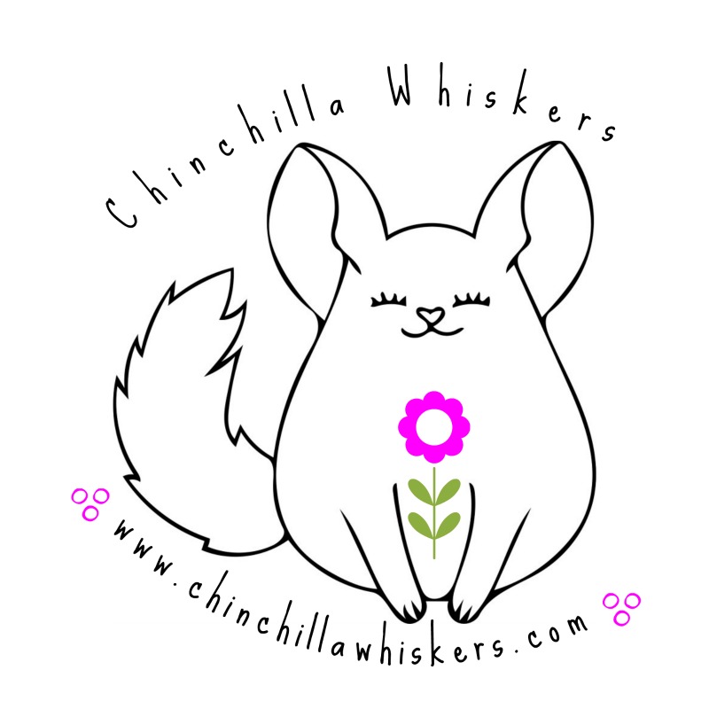 Chinchilla Whiskers